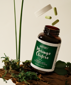 Moringa Oleifera Capsules 13 | Natpurity - Moringa Health Supplements & Skincare Malaysia