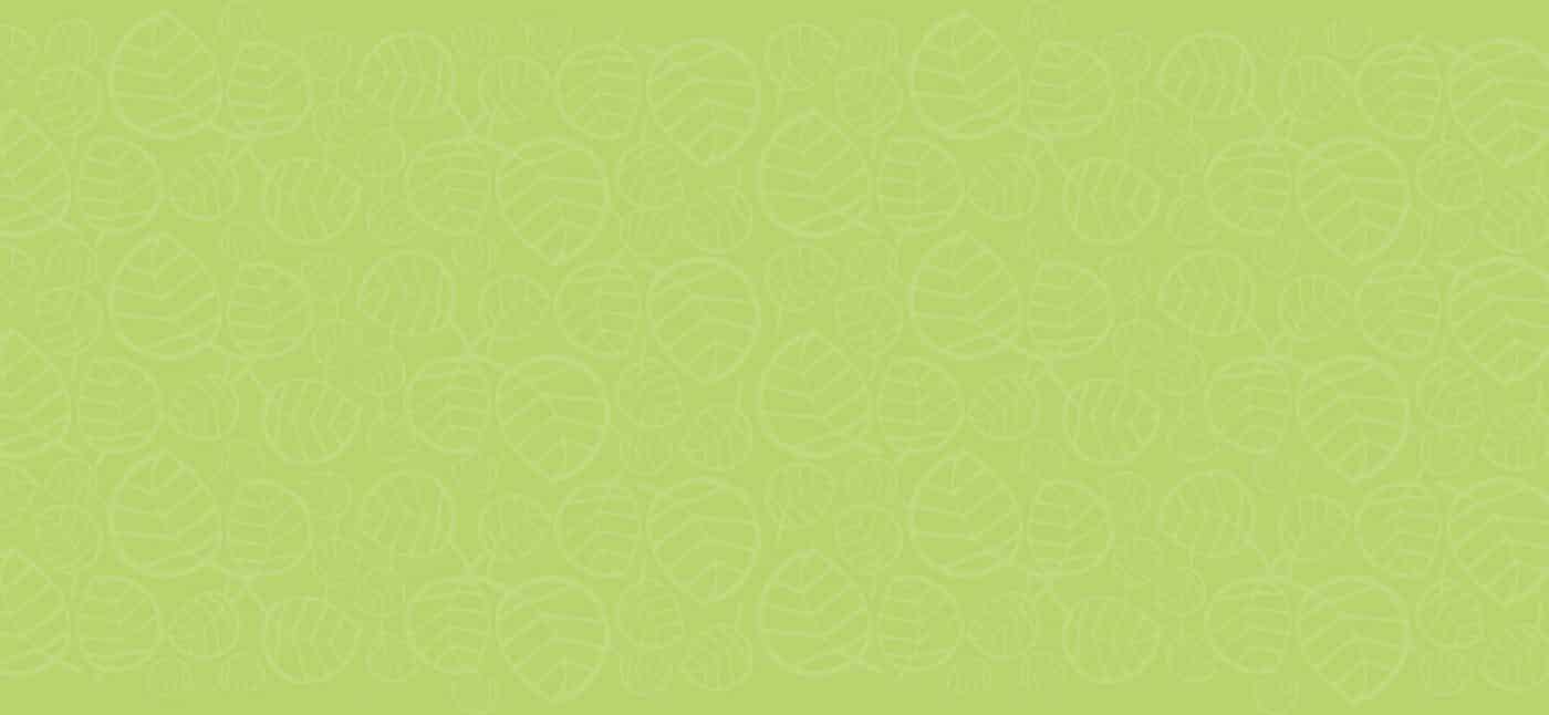 Moringa Health Benefits 7 | Natpurity - Moringa Health Supplements & Skincare Malaysia