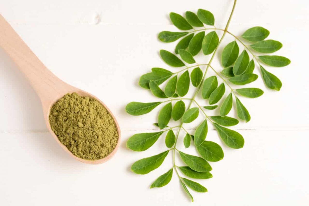 Moringa Oleifera: The Superfood Packed with Vitamins, Nutrients and Antioxidants 156 | Natpurity - Moringa Health Supplements & Skincare Malaysia