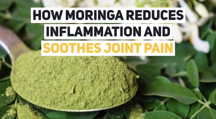 How Moringa Reduces Arthritis Inflammation And Soothes Joint Pain 8 | Natpurity - Moringa Health Supplements & Skincare Malaysia