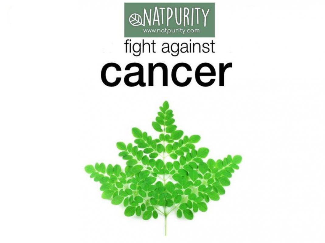 MORINGA OLEIFERA LEAVES EXTRACT ACTS AS ANTI-CANCER