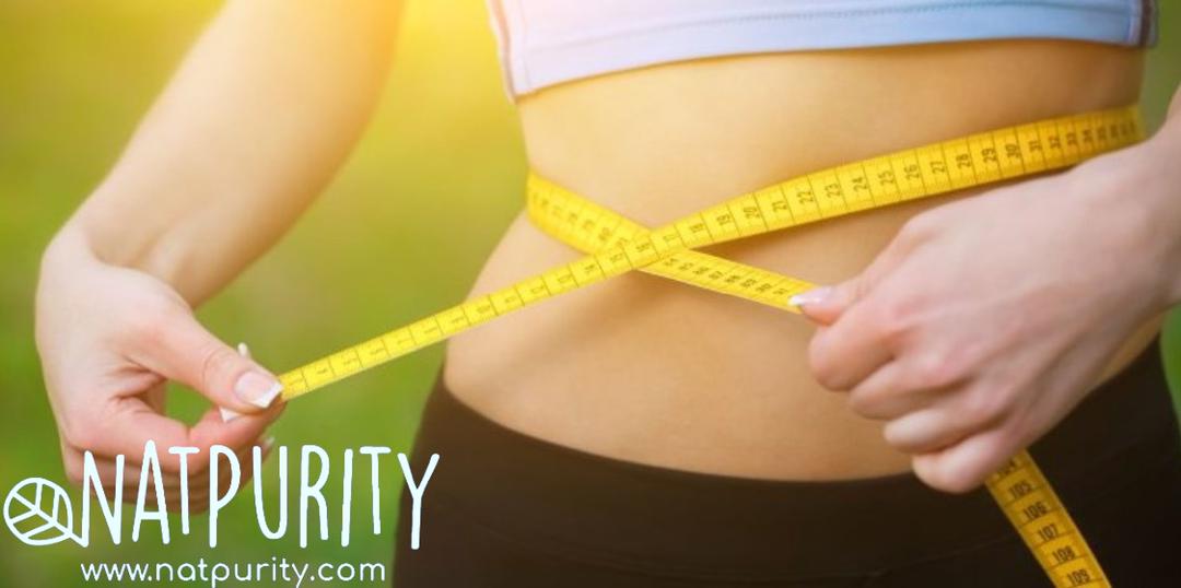MORINGA CAN HELP LOSE WEIGHT 3 | Natpurity - Moringa Health Supplements & Skincare Malaysia